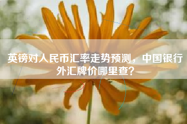 英镑对人民币汇率走势预测，中国银行外汇牌价哪里查？