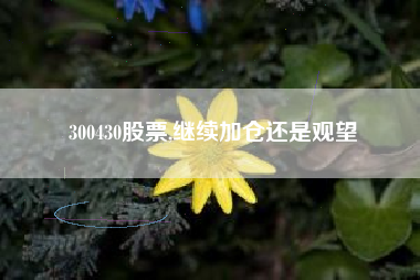 300430股票,继续加仓还是观望