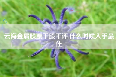 云海金属股票千股千评,什么时候入手最佳
