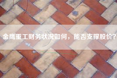 金鹰重工财务状况如何，能否支撑股价？