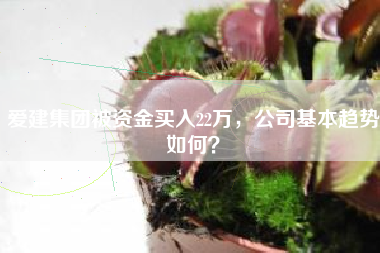 爱建集团被资金买入22万，公司基本趋势如何？