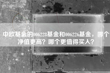 中欧基金的006228基金和006226基金，哪个净值更高？哪个更值得买入？