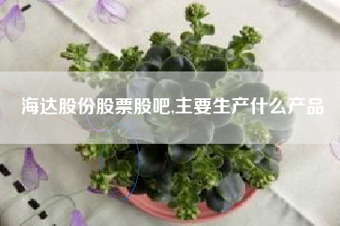 海达股份股票股吧,主要生产什么产品