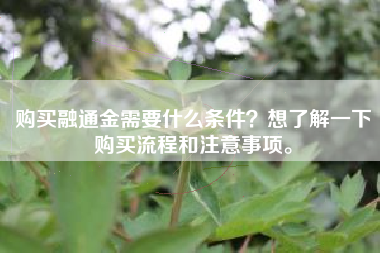 购买融通金需要什么条件？想了解一下购买流程和注意事项。