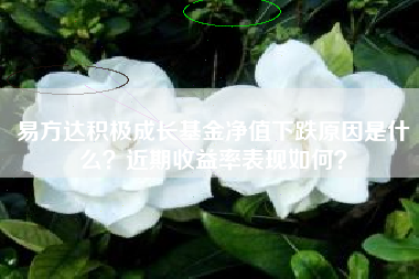 易方达积极成长基金净值下跌原因是什么？近期收益率表现如何？