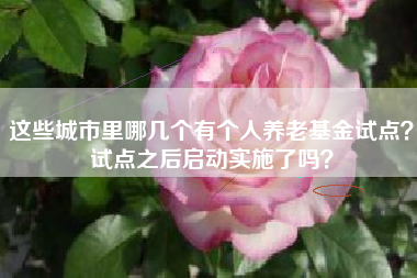 这些城市里哪几个有个人养老基金试点？试点之后启动实施了吗？
