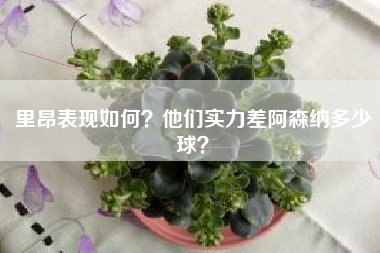 里昂表现如何？他们实力差阿森纳多少球？