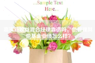 嘉实新收益混合经理靠谱吗，他管理其他基金业绩怎么样？
