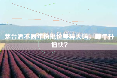 茅台酒不同年份批价差异大吗，哪年升值快？