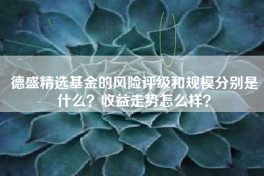 德盛精选基金的风险评级和规模分别是什么？收益走势怎么样？