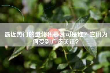 最近热门的量化私募公司是谁？它们为何受到广泛关注？