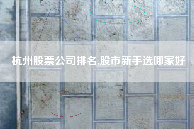 杭州股票公司排名,股市新手选哪家好