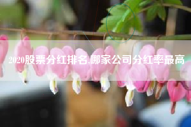 2020股票分红排名,哪家公司分红率最高