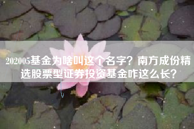 202005基金为啥叫这个名字？南方成份精选股票型证券投资基金咋这么长？
