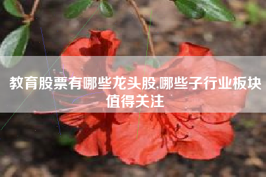 教育股票有哪些龙头股,哪些子行业板块值得关注