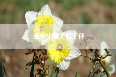 金字火腿千股千评