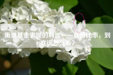 衡量基金表现的利器——夏普比率，到底该怎么看？