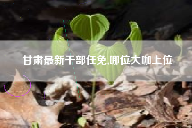 甘肃最新干部任免,哪位大咖上位