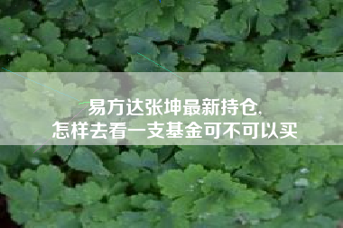 易方达张坤最新持仓,
怎样去看一支基金可不可以买