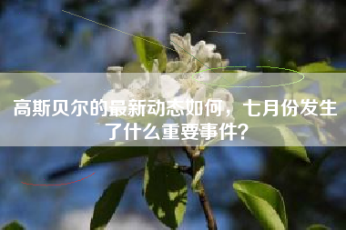 高斯贝尔的最新动态如何，七月份发生了什么重要事件？