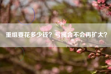 重组要花多少钱？亏损会不会再扩大？
