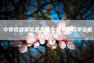 中银稳健策略混合基金,我的风险承受能力合适吗