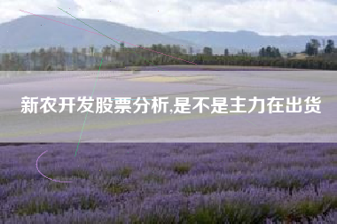新农开发股票分析,是不是主力在出货