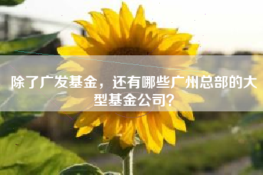 除了广发基金，还有哪些广州总部的大型基金公司？