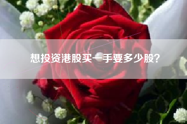 想投资港股买一手要多少股？