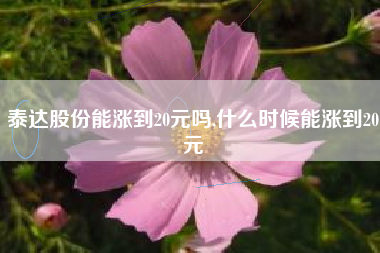 泰达股份能涨到20元吗,什么时候能涨到20元