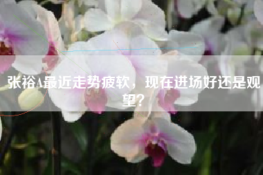 张裕A最近走势疲软，现在进场好还是观望？