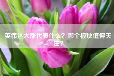 英伟达大涨代表什么？哪个板块值得关注？