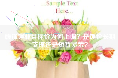 赣锋锂业目标价为何上调？是锂价长期支撑还是短暂繁荣？