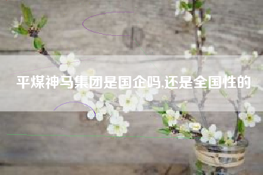 平煤神马集团是国企吗,还是全国性的