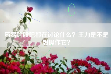 药易购股吧都在讨论什么？主力是不是想操作它？