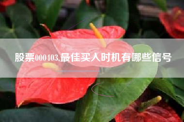 股票000403,最佳买入时机有哪些信号