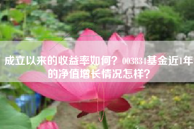 成立以来的收益率如何？003834基金近1年的净值增长情况怎样？
