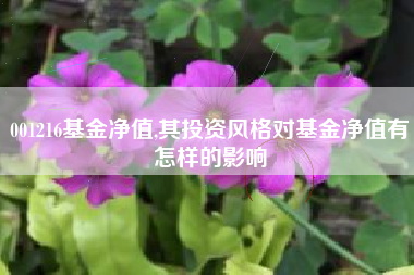 001216基金净值,其投资风格对基金净值有怎样的影响