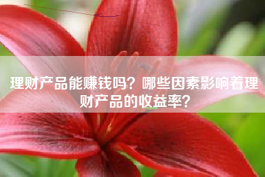 理财产品能赚钱吗？哪些因素影响着理财产品的收益率？