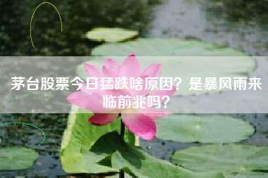 茅台股票今日猛跌啥原因？是暴风雨来临前兆吗？