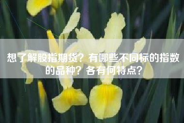 想了解股指期货？有哪些不同标的指数的品种？各有何特点？
