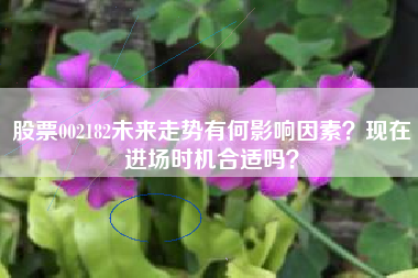 股票002182未来走势有何影响因素？现在进场时机合适吗？