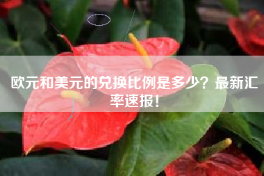 欧元和美元的兑换比例是多少？最新汇率速报！