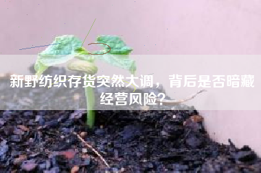 新野纺织存货突然大调，背后是否暗藏经营风险？