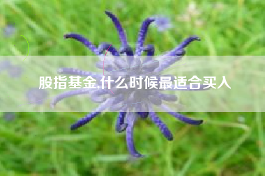 股指基金,什么时候最适合买入
