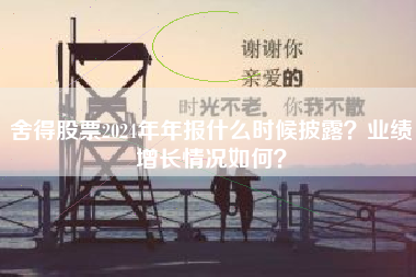 舍得股票2024年年报什么时候披露？业绩增长情况如何？