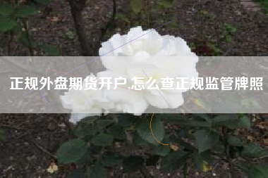 正规外盘期货开户,怎么查正规监管牌照