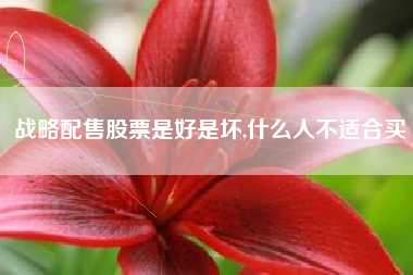 战略配售股票是好是坏,什么人不适合买