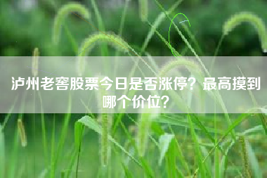 泸州老窖股票今日是否涨停？最高摸到哪个价位？
