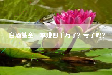 白酒基金一季赚四千万了？亏了吗？